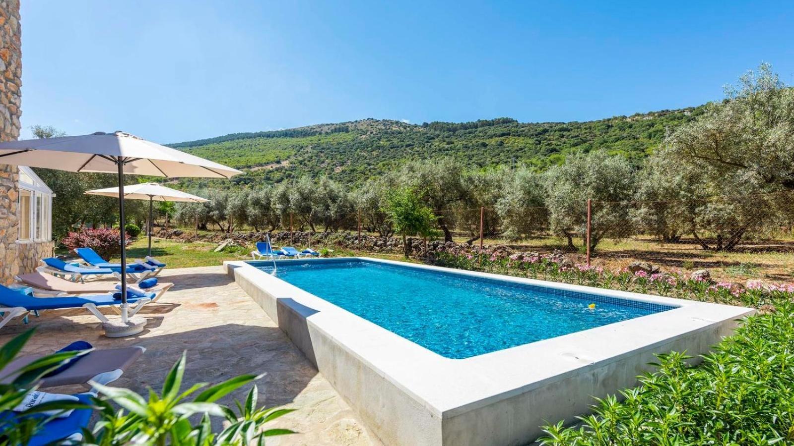 Casa Rural El Ciruelo Loco Alfarnate By Ruralidays Alfarnatejo エクステリア 写真