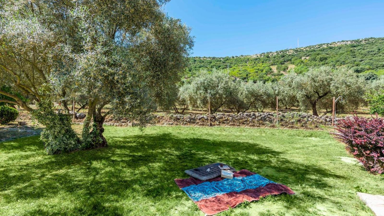 Casa Rural El Ciruelo Loco Alfarnate By Ruralidays Alfarnatejo エクステリア 写真